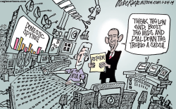 NSA REFORM  by Mike Keefe