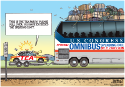 TEA PARTY CAN'T STOP FEDERAL OMNIBUS BUDGET DEAL- by R.J. Matson