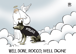 LOCAL, POLICE DOG KILLED IN PITTSBURGH,  by Randy Bish