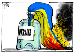 UKRAINE VIOLENCE by Tom Janssen