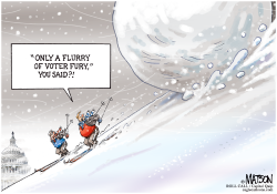 SNOWBALLING VOTER FURY- by R.J. Matson