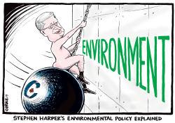 HARPERS ENVIRONMENT POLICY by Ingrid Rice