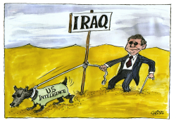 PRESIDENT BUSH AND U.S. INTELLIGENCE ON IRAQ  by Christo Komarnitski