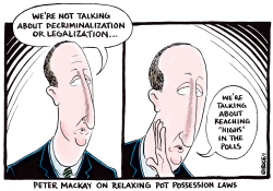 RELAXING POT POSSESSION LAWS by Ingrid Rice