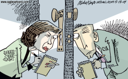 SENATE OVERSIGHT  by Mike Keefe