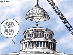 DOME RESTORATION PROJECT by Kevin Siers
