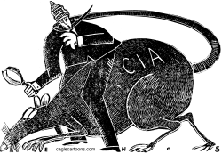 CIA SPYING by Randall Enos