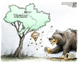 THE HUNGRY BEAR  by Adam Zyglis