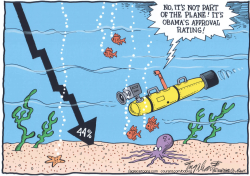OBAMA'S APPROVAL POLL by Bob Englehart