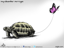 MAY-DECEMBER MARRIAGES by Osama Hajjaj