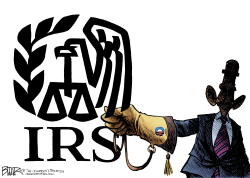 IRS FALCONRY  by Nate Beeler