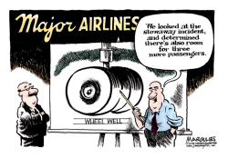AIRLINE STOWAWAY  by Jimmy Margulies