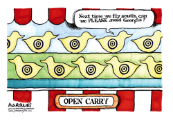 GEORGIA OPEN CARRY  by Jimmy Margulies