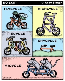FLYCYCLE SHYCYCLE MICYCLE  VERSION by Andy Singer