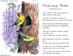 FIELD GUIDE FOR THE BIRDS - PLATE 22 -  by Taylor Jones
