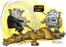 FOX NEWS AND BENGHAZI  by Daryl Cagle