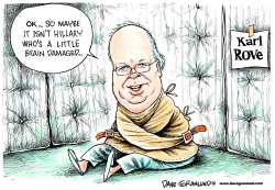 KARL ROVE DIAGNOSIS OF HILLARY by Dave Granlund