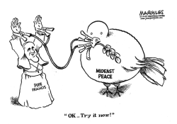 POPE AND MIDEAST PEACE by Jimmy Margulies