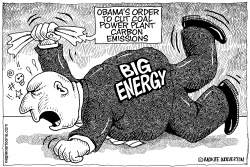NEW OBAMA RULES FOR COAL POWER PLANTS by Wolverton