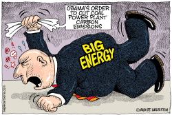 NEW OBAMA RULES FOR COAL POWER PLANTS  by Wolverton