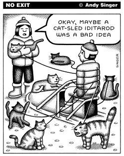 CAT SLED IDITAROD by Andy Singer