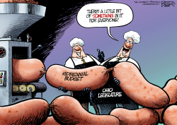 LOCAL OH - BUDGET SAUSAGE  by Nate Beeler