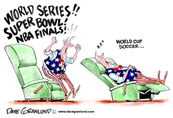 WORLD CUP SOCCER AND US FANS by Dave Granlund