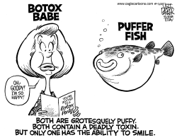 BOTOX PUFFER FISH by Parker