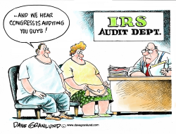 PROBE OF IRS by Dave Granlund