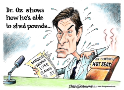DR OZ AND WEIGHT LOSS by Dave Granlund