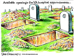 VA HOSPITAL APPOINTMENTS by Dave Granlund