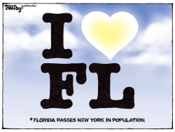 LOCAL FL  I LOVE FLORIDA by Bill Day