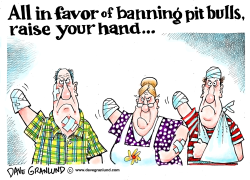 PIT BULLS by Dave Granlund