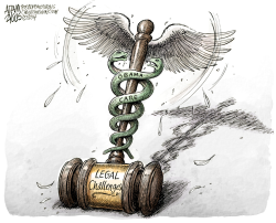 OBAMACARE LEGAL CHALLENGES  by Adam Zyglis