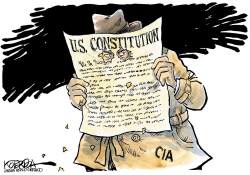US CONSTITUTION by Jeff Koterba