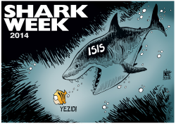 ISIS SHARK,  by Randy Bish
