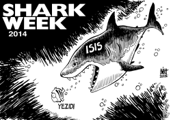 SHARK WEEK IN IRAQ, B/W by Randy Bish