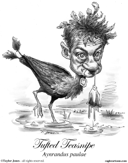RAND PAUL - STRANGE BIRD by Taylor Jones