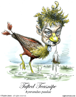 RAND PAUL - STRANGE BIRD -  by Taylor Jones