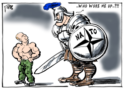 NATO WAKE UP CALL by Tom Janssen
