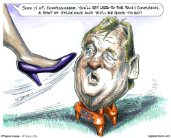 GETTING A KICK OUT OF ROGER GOODELL -  by Taylor Jones