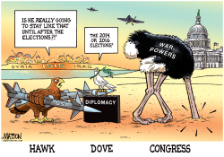 HAWK AND DOVE AND CONGRESS- by R.J. Matson