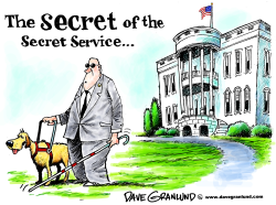 SECRET OF THE SECRET SERVICE by Dave Granlund