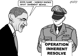 US OPERATION AGAINST IS by Rainer Hachfeld