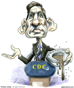 CDC DIRECTOR THOMAS FRIEDEN -  by Taylor Jones