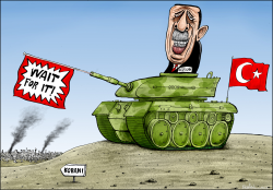 TURKEY RELUCTANT TO FIGHT ISLAMIC STATE by Brian Adcock