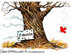 CANADA TERRORIST ATTACK by Dave Granlund