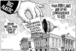 LOCAL-CA PLASTIC BAG BAN REPEAL by Wolverton