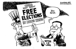 ELECTIONS by Jimmy Margulies