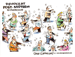 DEMOCRATS AFTER MIDTERMS by Dave Granlund